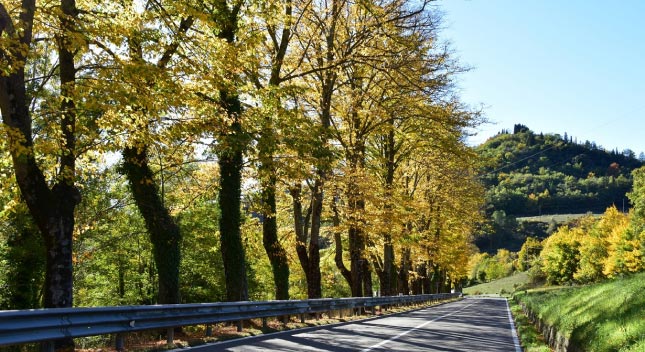 Arval